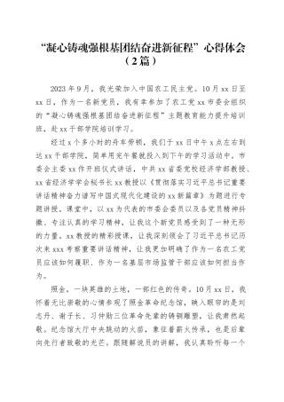 “凝心铸魂强根基团结奋进新征程”心得体会（2篇）