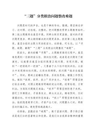 “三题”分类根治问题整改难题
