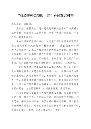 “我是哪种类型的干部”研讨发言材料