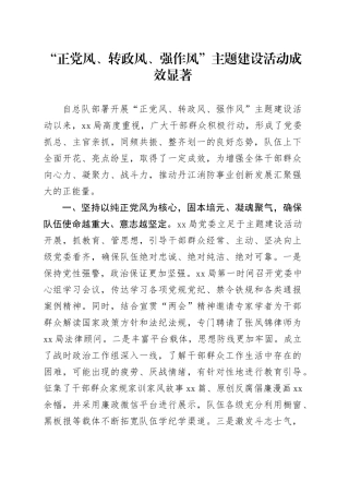 “正党风、转政风、强作风”主题建设活动成效显著