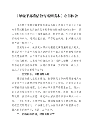 《年轻干部廉洁教育案例读本》心得体会（3篇）