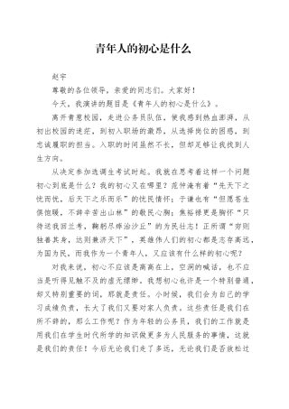 《青年人的初心是什么》演讲稿