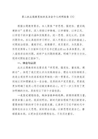 【2篇】主题教育组织生活会个人对照检查材料（觉悟、遵规守纪、道德操守、党员意识、为民服务、作用发挥，检视剖析，第二批次，发言提纲六个方面）2024年1月19日