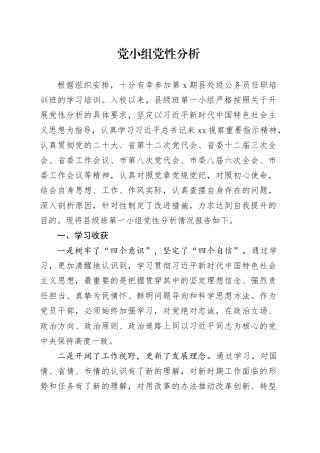 党小组党性分析报告