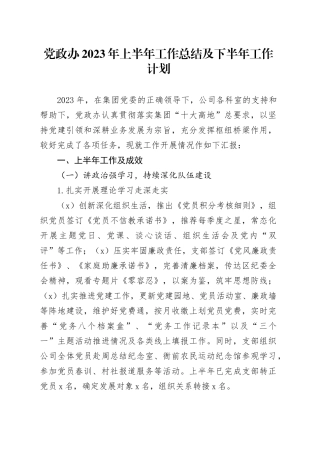党政办2023年上半年工作总结及下半年工作计划