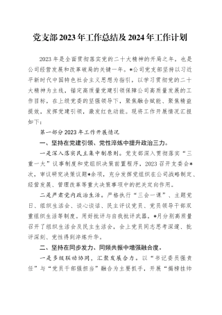 党支部2023年工作总结及2024年工作计划（1）