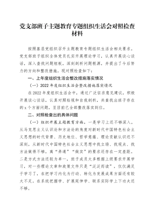 党支部班子主题教育专题组织生活会对照检查材料