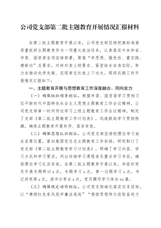 党支部第二批主题教育开展情况汇报材料