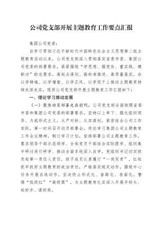 党支部开展主题教育工作要点汇报