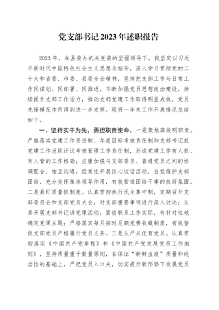 党支部书记2023年述职报告