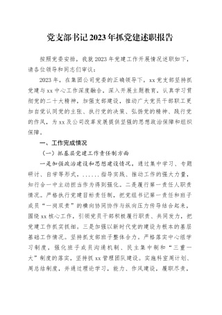 党支部书记2023年抓党建述职报告