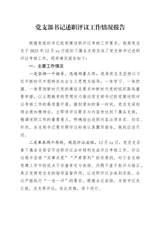 党支部书记述职评议工作情况报告