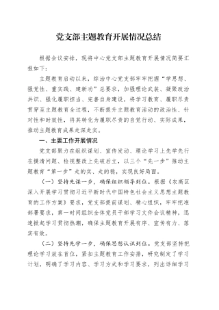 党支部主题教育开展情况总结