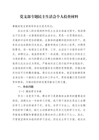党支部专题民主生活会个人检查材料