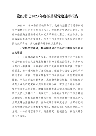 党组书记2023年度抓基层党建述职报告