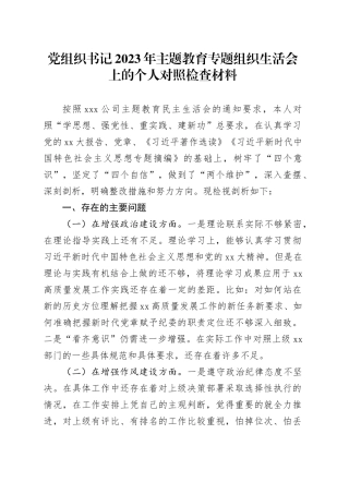 党组织书记2023年主题教育专题组织生活会上的个人对照检查材料