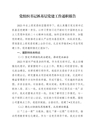 党组织书记抓基层党建工作述职报告12.27