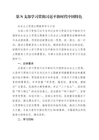 第N党支部学习贯彻习近平新时代中国特色社会主义思想主题教育学习计划