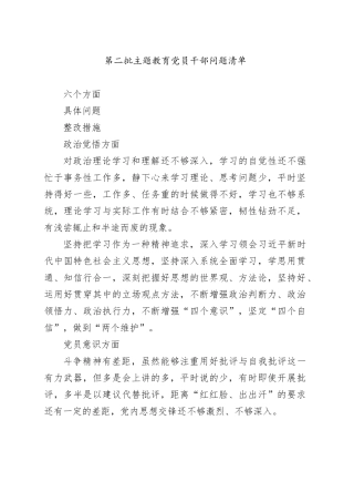 第二批主题教育党员干部问题清单