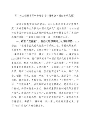 第二批主题教育第四专题学习心得体会（国企班子成员）