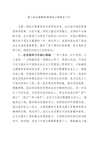 第二批主题教育读书班心得体会（1）