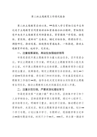 第二批主题教育工作情况报告