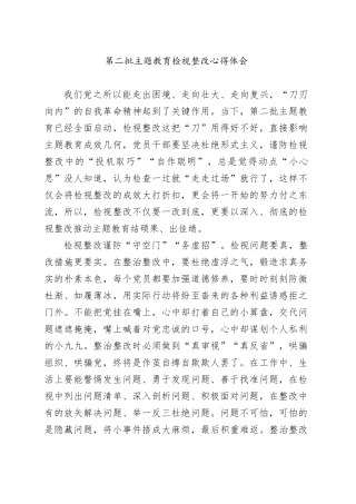 第二批主题教育检视整改心得体会