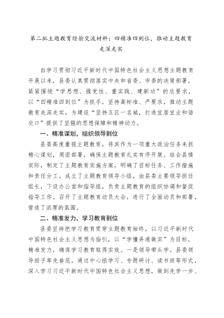 第二批主题教育经验交流材料：四精准四到位，推动主题教育走深走实