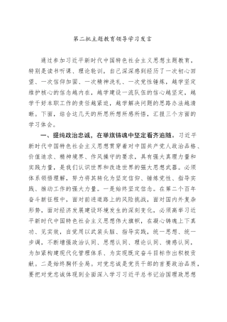 第二批主题教育领导学习发言