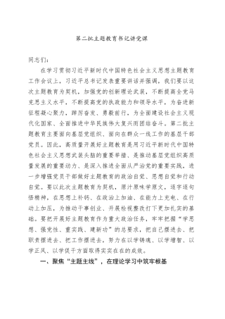 第二批主题教育书记讲党课