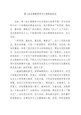 第二批主题教育学习心得体会研讨发言材料20231108