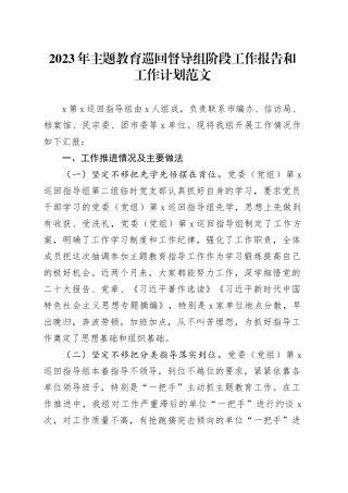 第二批主题教育巡回督导组阶段工作报告和工作计划指导组总结汇报