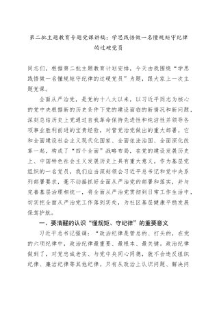 第二批主题教育专题党课：学思践悟 做一名懂规矩 守纪律的过硬党员