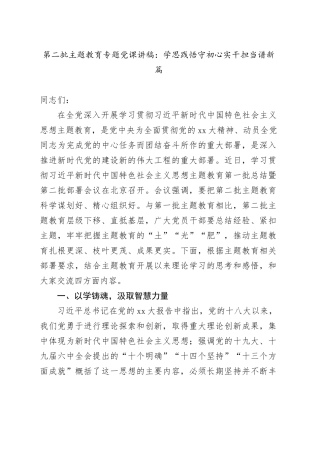 第二批主题教育专题党课：学思践悟守初心实干担当谱新篇