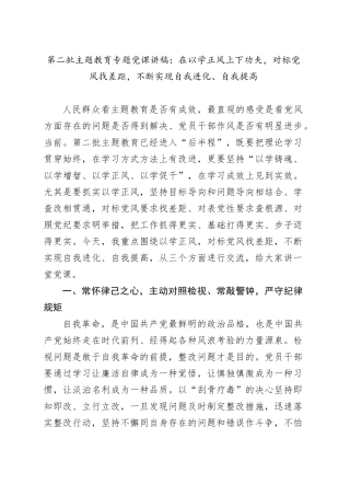 第二批主题教育专题党课：在以学正风上下功夫，对标党风找差距，不断实现自我进化、自我提高