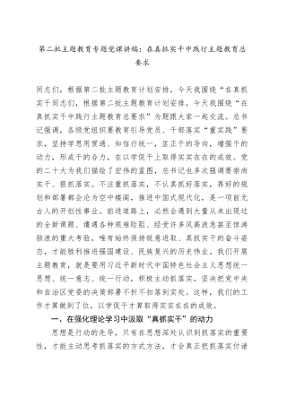 第二批主题教育专题党课：在真抓实干中践行主题教育总要求