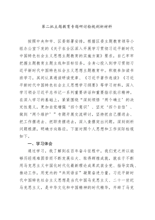 第二批主题教育专题研讨检视剖析材料