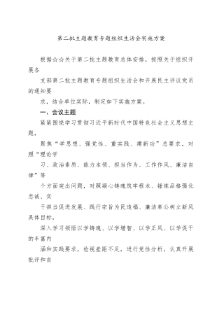 第二批主题教育专题组织生活会实施方案