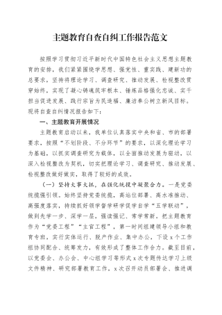 第二批主题教育自查自纠工作报告问题总结汇报