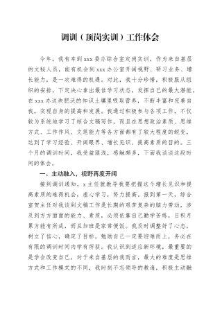 调训（顶岗实训）工作体会