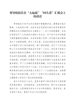 督导组组长在“大起底”“回头看”汇报会上的讲话