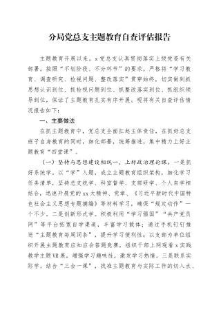 分局党总支主题教育自查评估报告