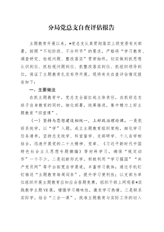 分局党总支自查评估报告
