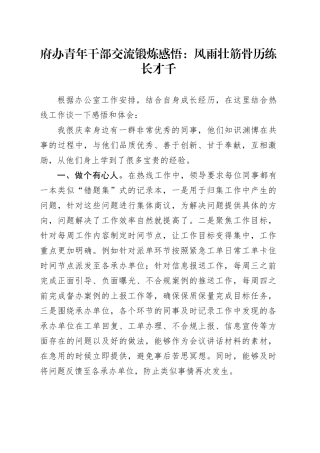 府办青年干部交流锻炼感悟：风雨壮筋骨历练长才千