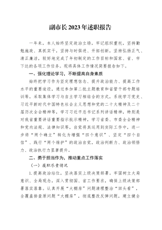 副市长2023年述职报告