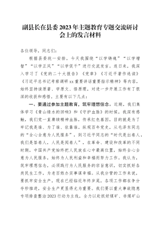 副县长在县委2023年主题教育专题交流研讨会上的发言材料