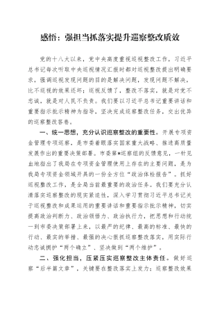 感悟：强担当抓落实提升巡察整改质效