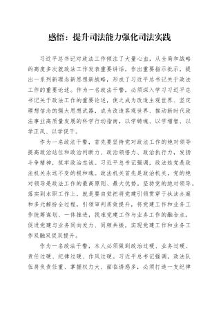 感悟：提升司法能力 强化司法实践