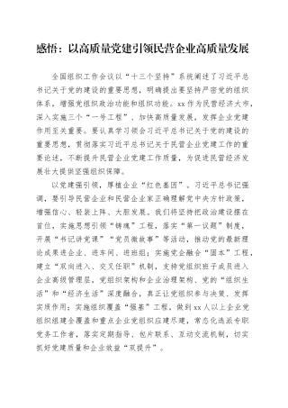 感悟：以高质量党建引领民营企业高质量发展