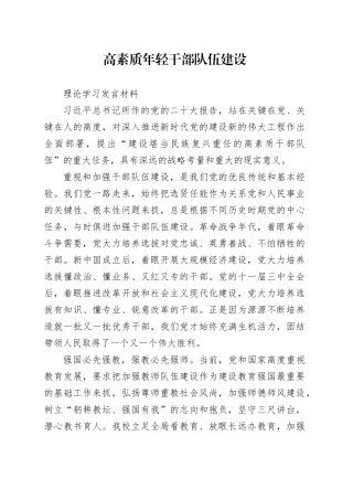 高素质年轻干部队伍建设心得体会